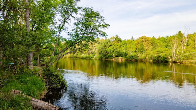 17341 Old Logging Rd, Hersey, MI 49639 - water view with a heavily wooded area