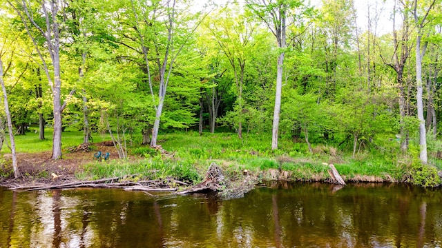 17341 Old Logging Rd, Hersey, MI 49639 - water view