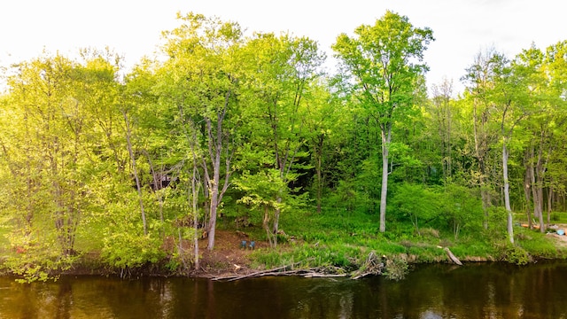 17341 Old Logging Rd, Hersey, MI 49639 - water view