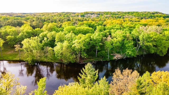 17341 Old Logging Rd, Hersey, MI 49639 - water view with a forest