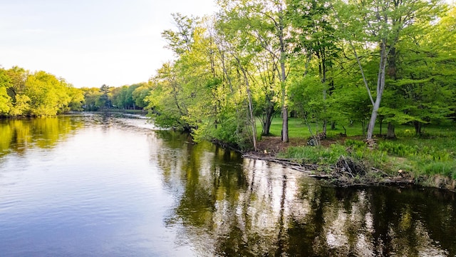 17341 Old Logging Rd, Hersey, MI 49639 - water view with a forest