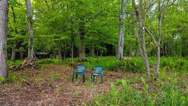 17341 Old Logging Rd, Hersey, MI 49639 - view of yard with a view of trees