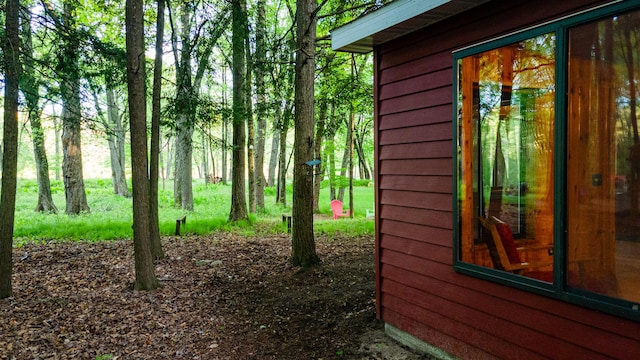 17341 Old Logging Rd, Hersey, MI 49639 - view of side of property