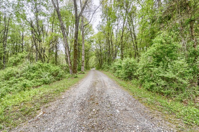 12445 Shaffer Rd, Davisburg, MI 48350 - view of road with a forest view