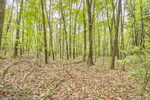12445 Shaffer Rd, Davisburg, MI 48350 - view of woods