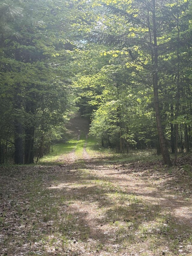 0 US-31, Kewadin, MI 49648