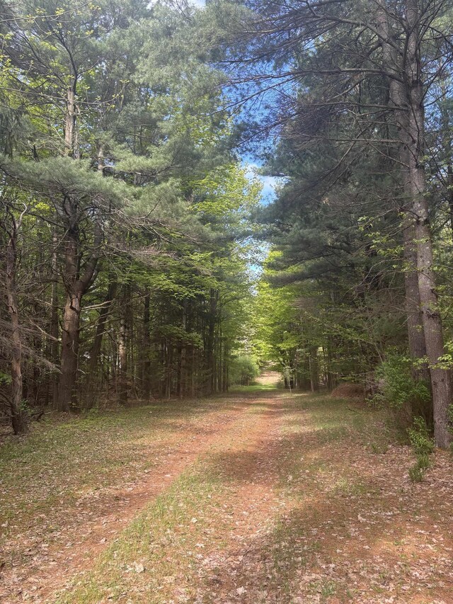 0 US-31, Kewadin, MI 49648