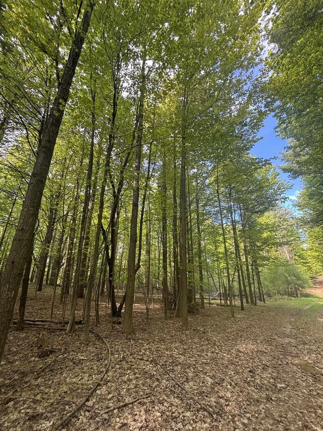 0 US-31, Kewadin, MI 49648