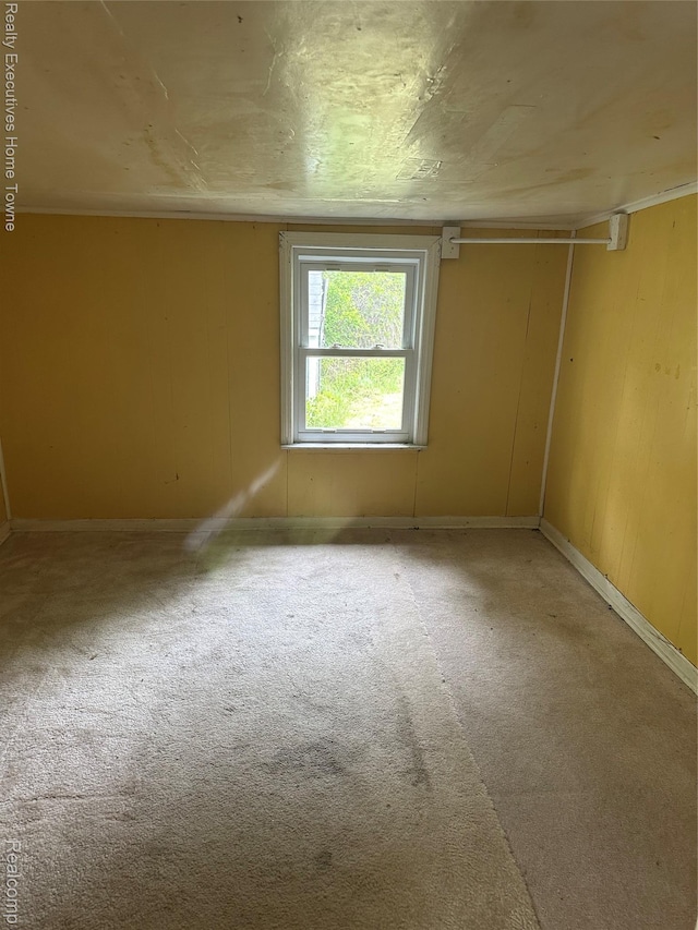 4466 Dove Rd, Saint Clair, MI 48060 - empty room featuring carpet floors, baseboards, and wooden walls