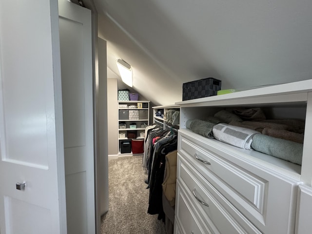 1300 Winding Ridge Ln Unit D8, Indiana, IN 46383 - spacious closet with carpet floors and lofted ceiling