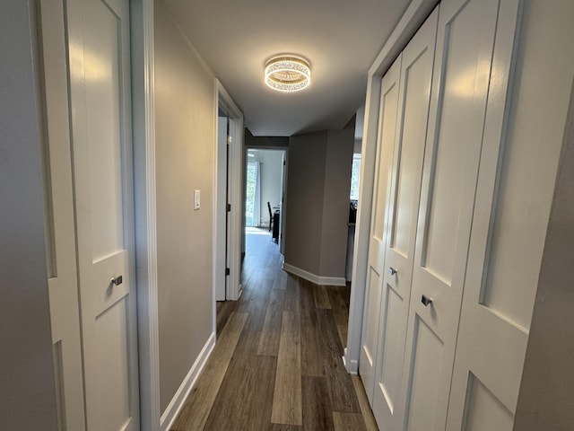 1300 Winding Ridge Ln Unit D8, Indiana, IN 46383 - corridor featuring dark wood-style flooring and baseboards