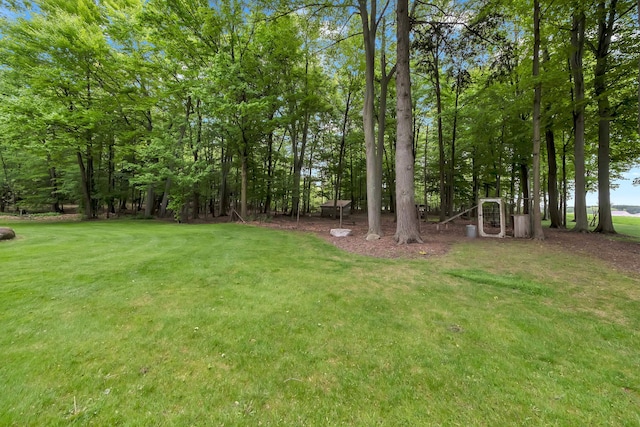 8750 20th Ave, Remus, MI 49340 - view of grassy yard