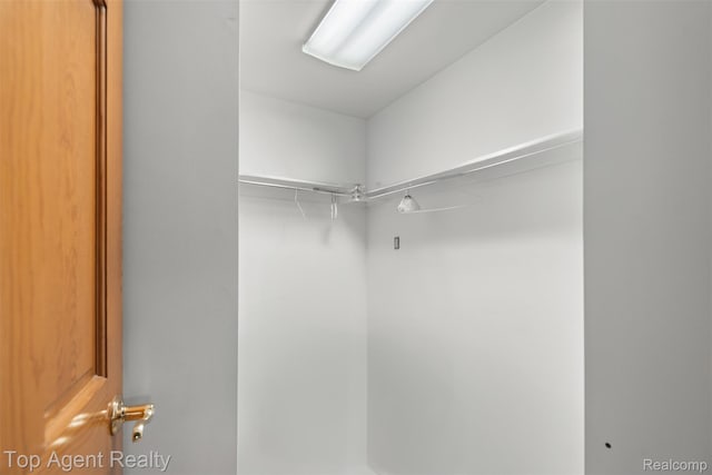 7386 Card Rd, Smiths Creek, MI 48074 - view of spacious closet