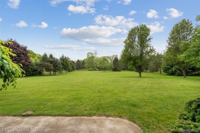 7386 Card Rd, Smiths Creek, MI 48074 - view of green lawn