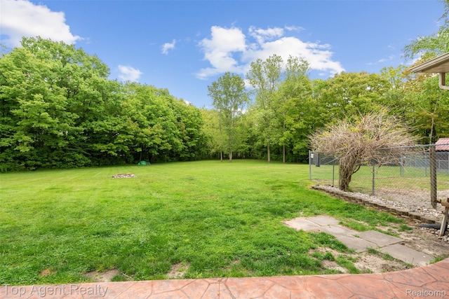 7386 Card Rd, Smiths Creek, MI 48074 - view of yard
