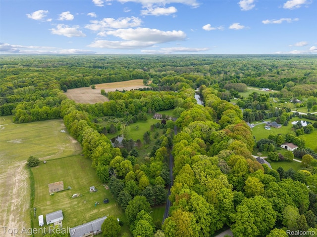 7386 Card Rd, Smiths Creek, MI 48074 - bird's eye view of a forest