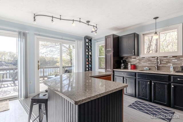 10273 Basford Lk Dr, Baldwin, MI 49304