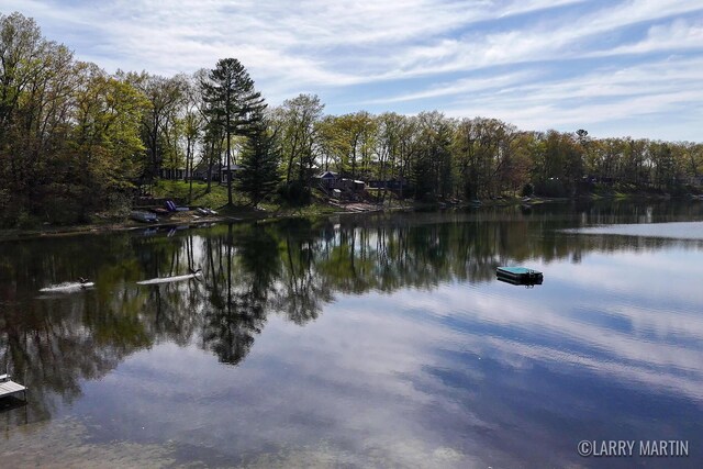 10273 Basford Lk Dr, Baldwin, MI 49304