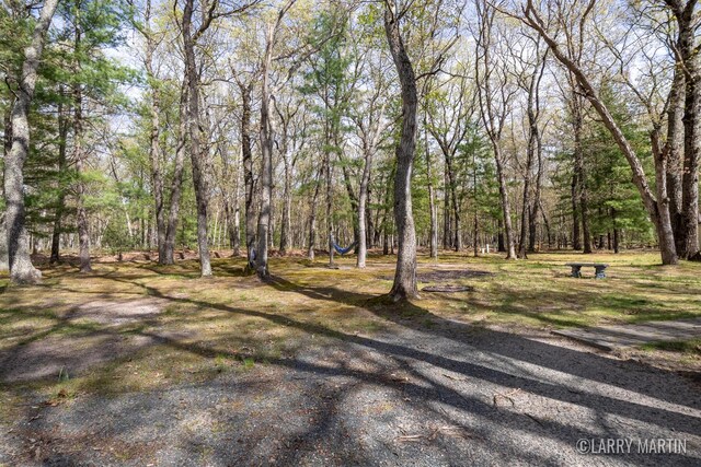 10273 Basford Lk Dr, Baldwin, MI 49304