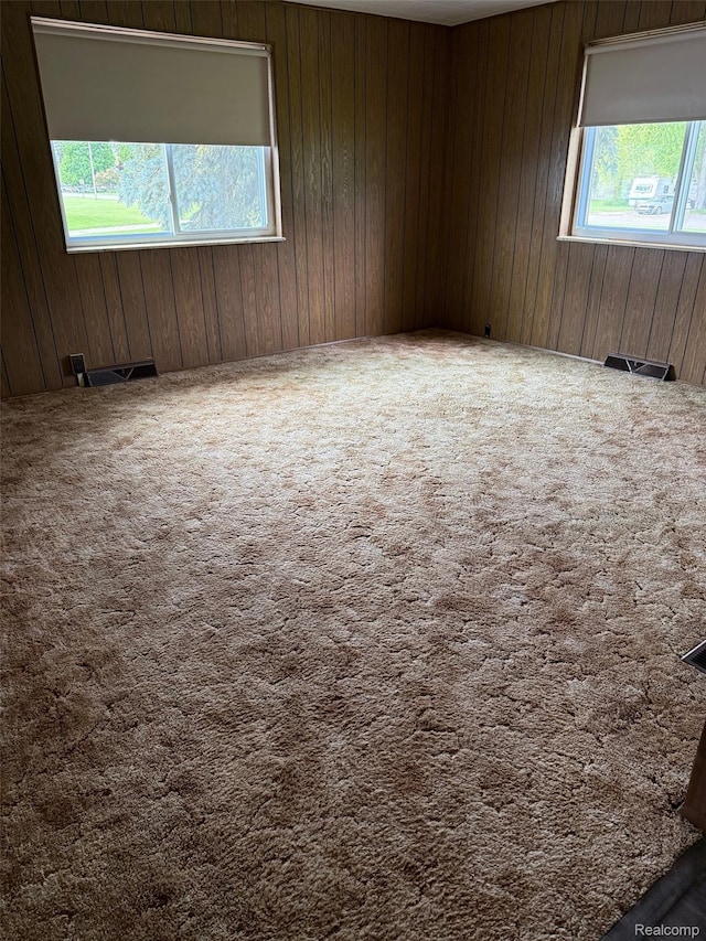 6600 Jefferson Rd, North Branch, MI 48461 - spare room featuring carpet floors and wooden walls