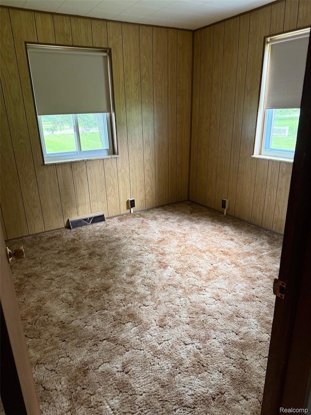 6600 Jefferson Rd, North Branch, MI 48461 - spare room with plenty of natural light, carpet flooring, and wooden walls