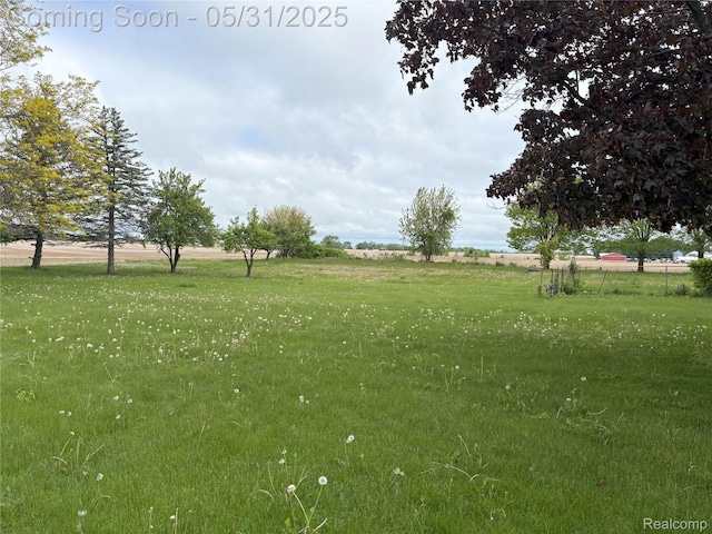 8865 E Bennington Rd, Durand, MI 48429 - view of yard with a view of rural / pastoral area