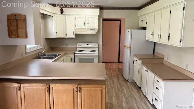 8865 E Bennington Rd, Durand, MI 48429 - kitchen featuring white appliances, a sink, under cabinet range hood, light wood-type flooring, and a peninsula