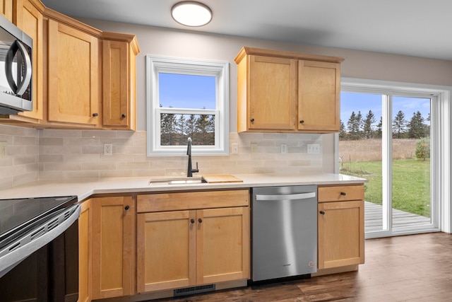 8524 S Elizabeth Dr, Maple City, MI 49664 - kitchen with stainless steel appliances, a sink, healthy amount of natural light, and light brown cabinets