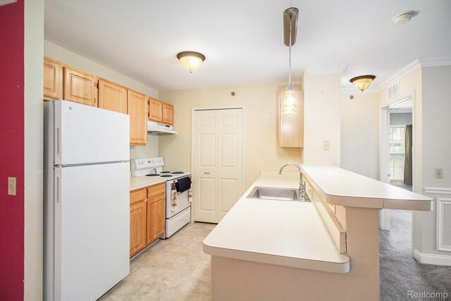 15200 Silver Pkwy Unit 101, Fenton, MI 48430 - kitchen featuring white appliances, a sink, under cabinet range hood, a peninsula, and light countertops