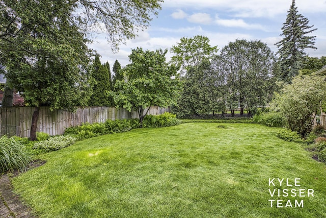 600 Plymouth Ave SE, East Grand Rapids, MI 49506 - view of yard