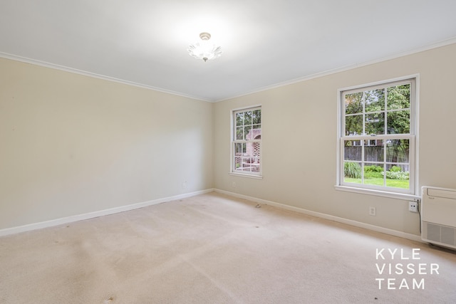 600 Plymouth Ave SE, East Grand Rapids, MI 49506 - unfurnished room featuring ornamental molding, healthy amount of natural light, baseboards, and light colored carpet