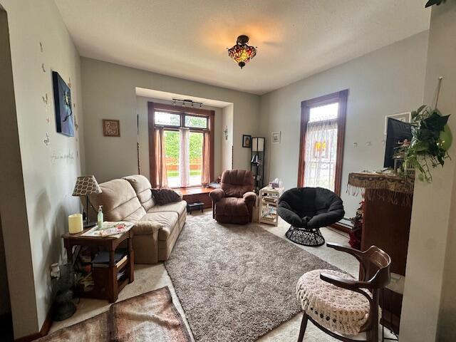 6 Vine St, Hillsdale, MI 49242 - living area with healthy amount of natural light and light colored carpet