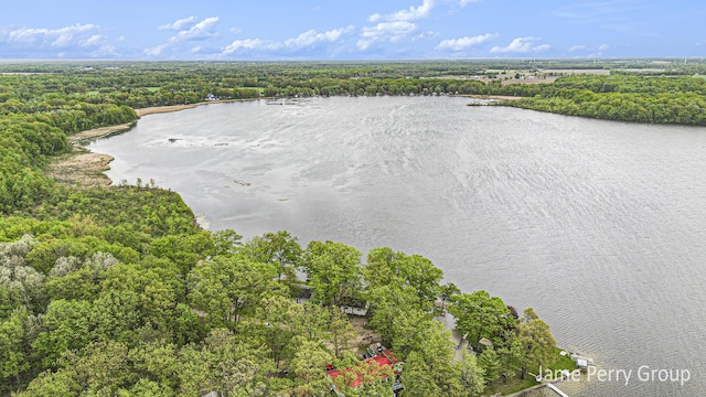 1760 S Colonel Point Dr, Crystal, MI 48818 - drone / aerial view of a large body of water and a heavily wooded area