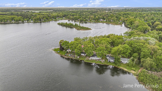 1760 S Colonel Point Dr, Crystal, MI 48818 - view of property location featuring a nearby body of water and a heavily wooded area