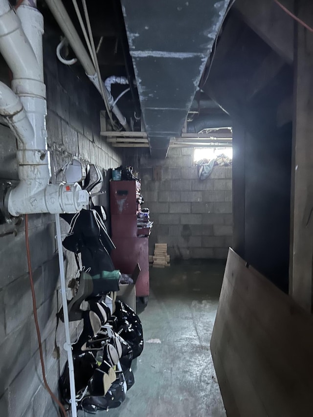3092 S M 37, Baldwin, MI 49304 - basement with concrete block wall