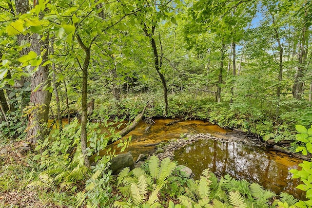 11478 E 7 Mile Rd, Tustin, MI 49688 - view of nature