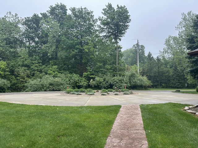 14278 Tyson Trl, Camden, MI 49232 - view of green lawn