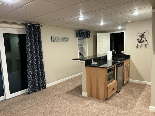 14278 Tyson Trl, Camden, MI 49232 - kitchen featuring light carpet, a peninsula, baseboards, a paneled ceiling, and stainless steel appliances