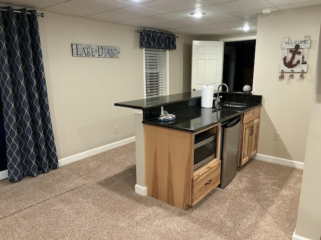 14278 Tyson Trl, Camden, MI 49232 - kitchen featuring a sink, light carpet, a peninsula, stainless steel appliances, and baseboards