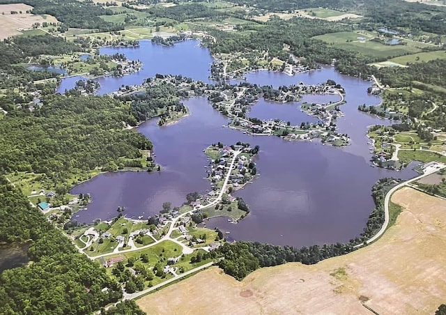 14278 Tyson Trl, Camden, MI 49232 - aerial view of property and surrounding area featuring a nearby body of water