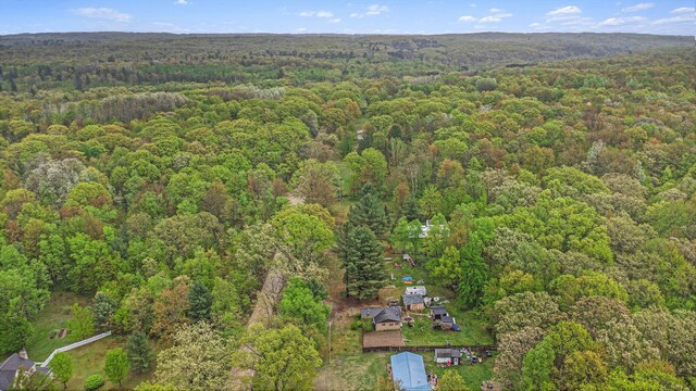2077 W Clarence Rd, Harrison, MI 48625 - photo 20