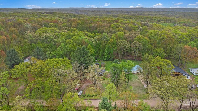 2077 W Clarence Rd, Harrison, MI 48625 - photo 21