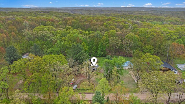 2077 W Clarence Rd, Harrison, MI 48625 - photo 22