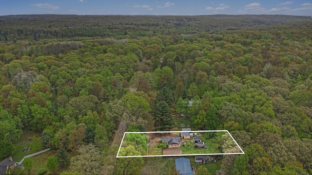 2077 W Clarence Rd, Harrison, MI 48625 - photo 3