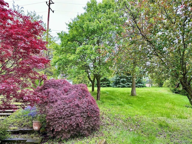 3758 Tienken Rd, Auburn Hills, MI 48326 - view of grassy yard