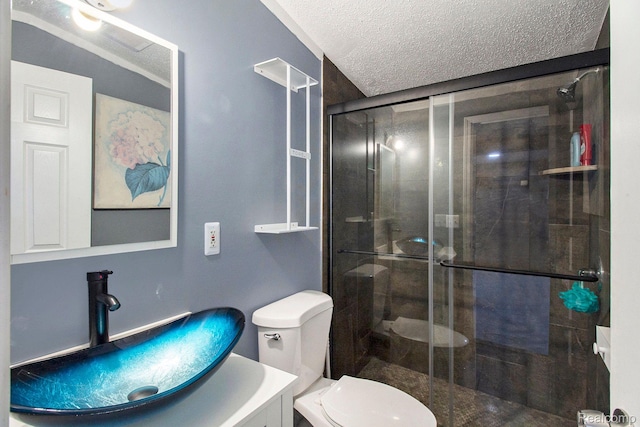 5315 Brown Rd, Millington, MI 48746 - bathroom with vanity, a stall shower, toilet, and a textured ceiling