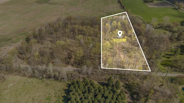 2119 W 116th St, Grant, MI 49327 - aerial view of sparsely populated area with property boundaries highlighted