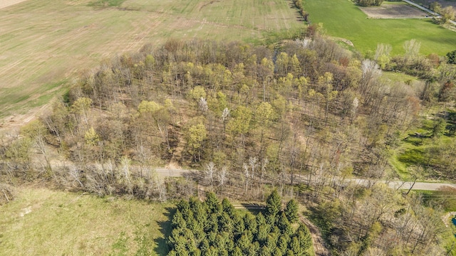 2119 W 116th St, Grant, MI 49327 - aerial view of sparsely populated area
