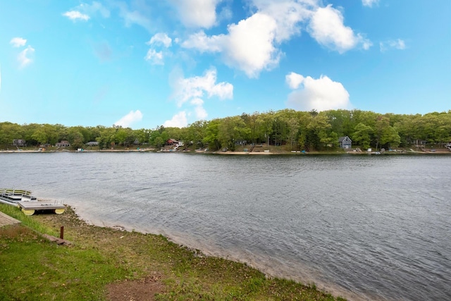 10138 S Lakeside Ridge Rd, Baldwin, MI 49304 - water view