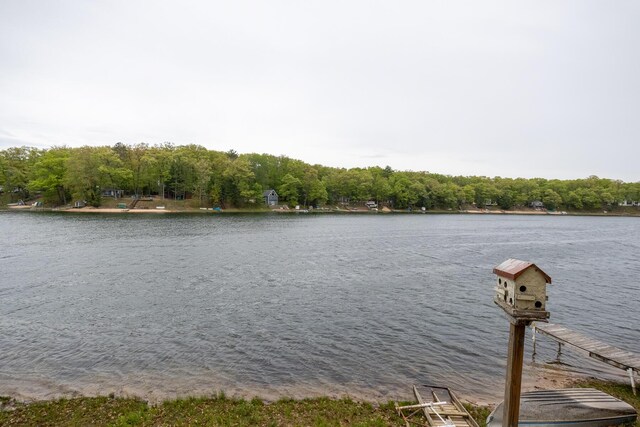 10138 S Lakeside Ridge Rd, Baldwin, MI 49304 - water view